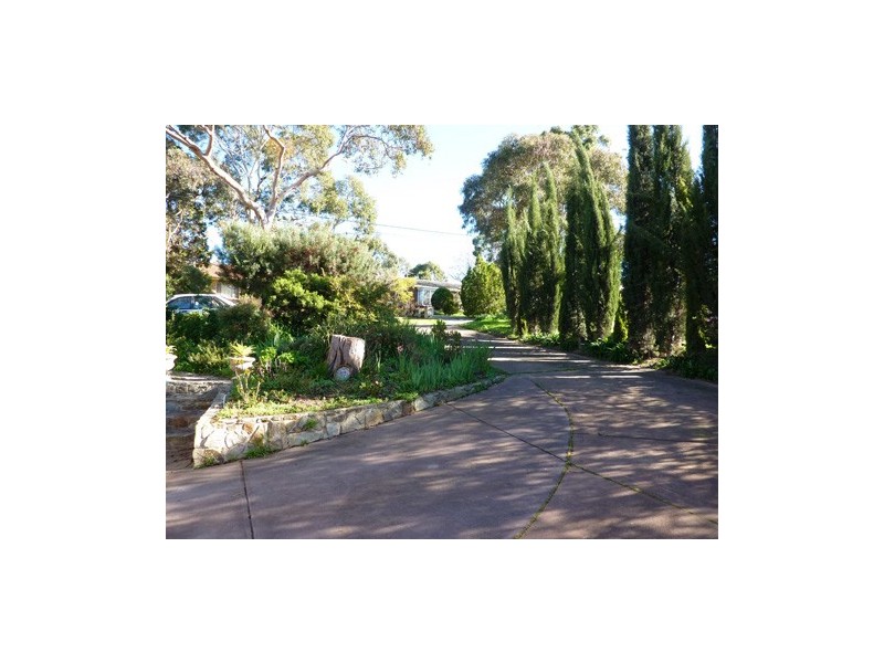 12 Dryandra Drive, Belair SA 5052