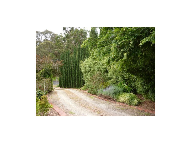 17 Chapman Street, Blackwood SA 5051