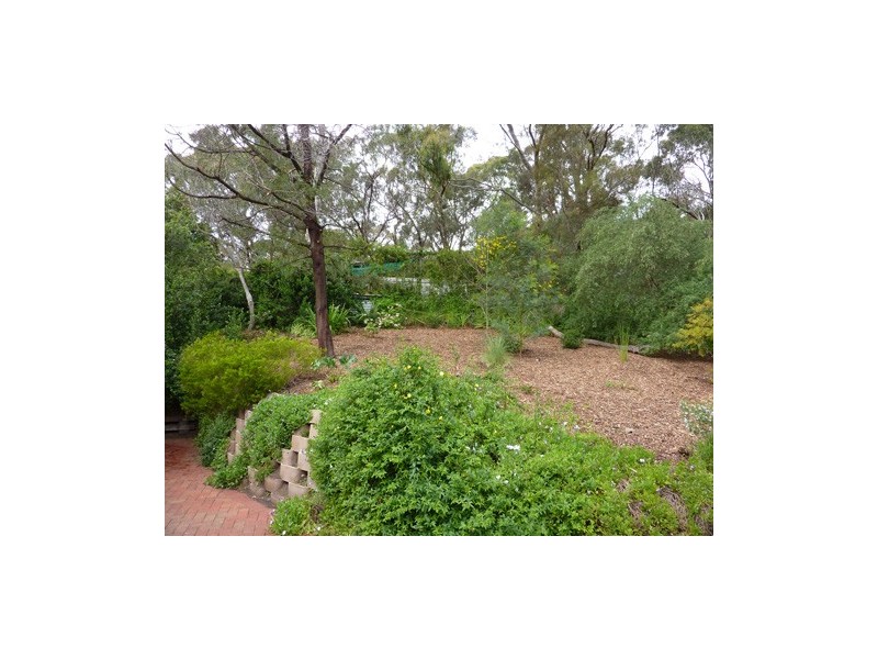 17 Chapman Street, Blackwood SA 5051