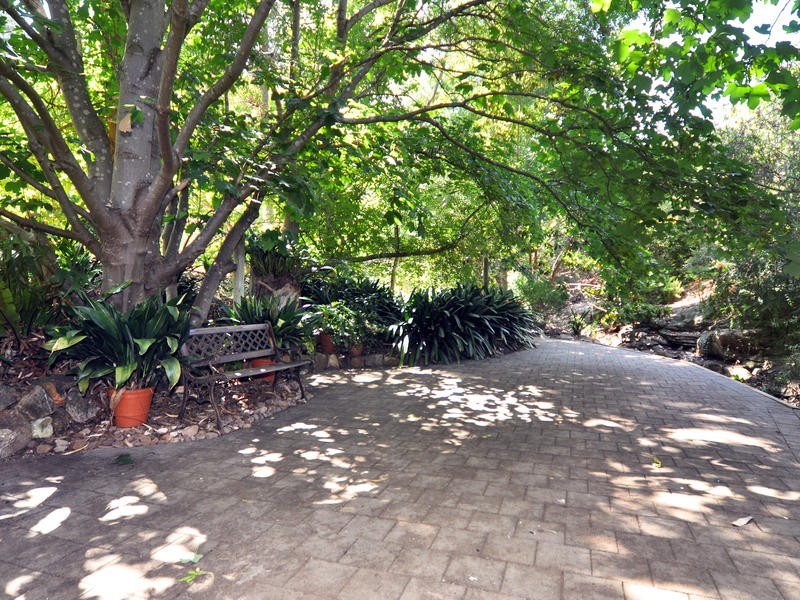 7 Sittella Crescent, Coromandel Valley SA 5051