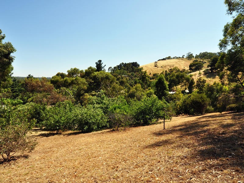 7 Sittella Crescent, Coromandel Valley SA 5051