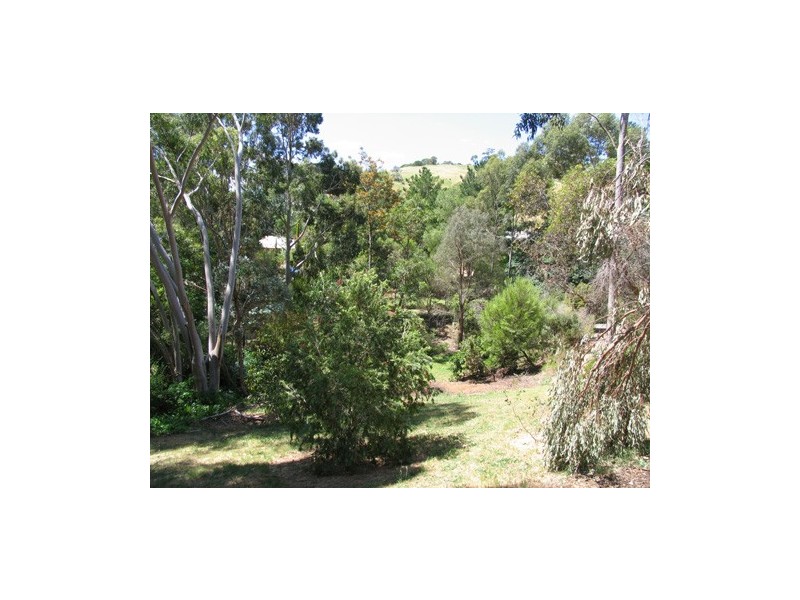 7 Sittella Crescent, Coromandel Valley SA 5051