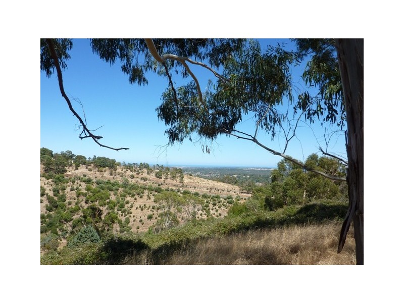 Coromandel East SA 5157