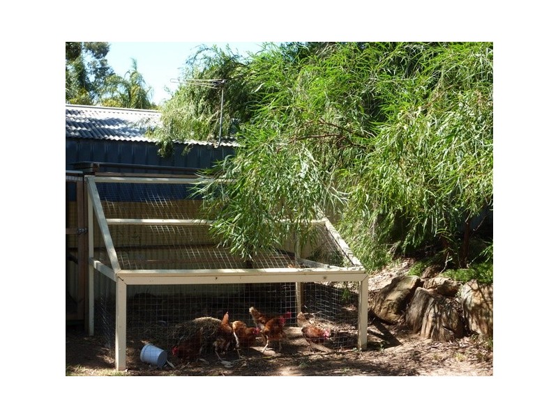 15 Spruce Ave, Aberfoyle Park SA 5159