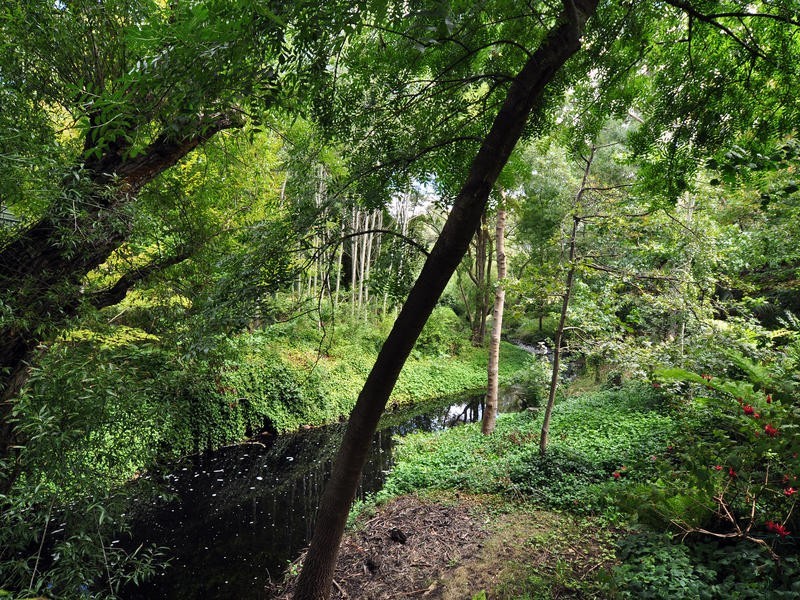 255 Coromandel Pde, Coromandel Valley SA 5051