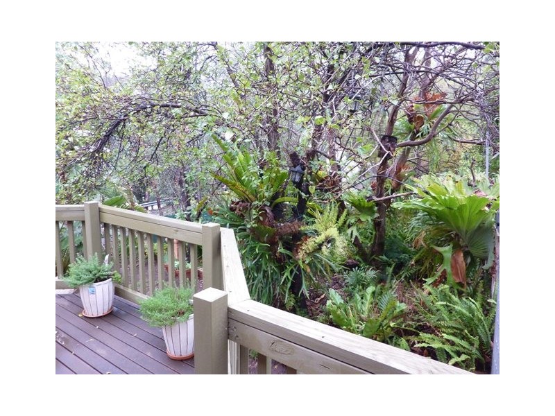 430 Belair Road, Belair SA 5052