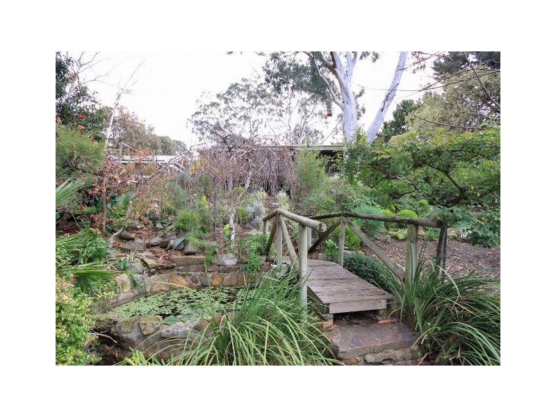 24 Jackson Ave, Coromandel Valley SA 5051