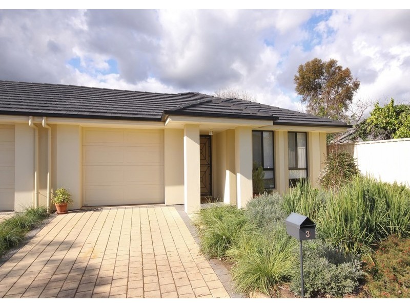 3 Saxon St, Clovelly Park SA 5042
