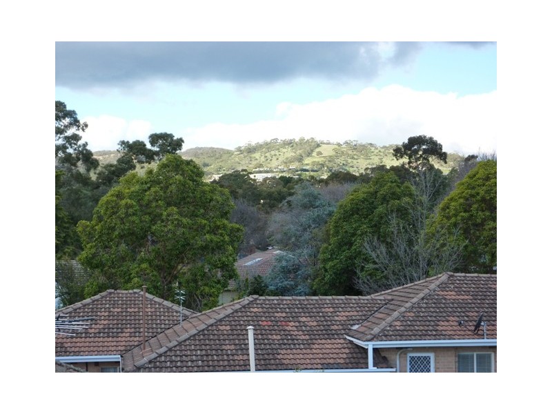 34 Collingwood Ave, Hazelwood Park SA 5066