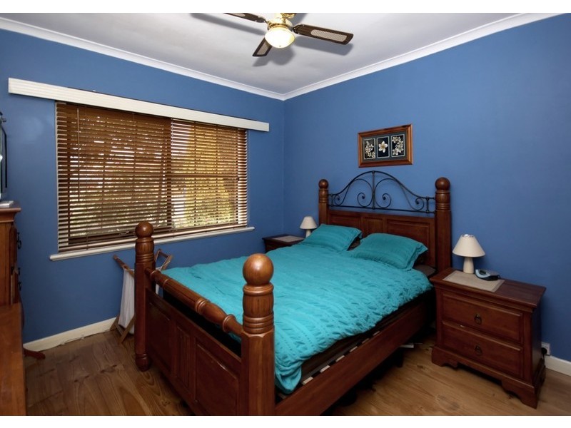 19 Celtic Ave, Clovelly Park SA 5042