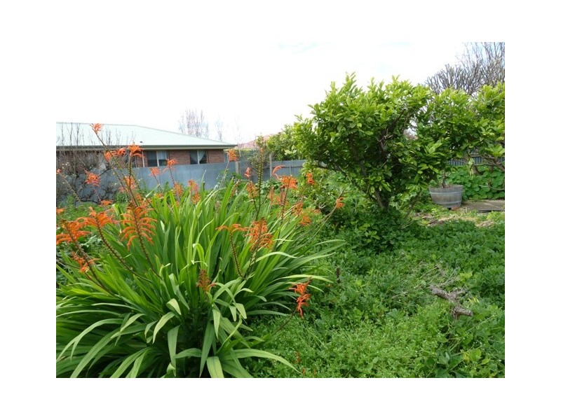 39 St Lawrence Avenue, Edwardstown SA 5039