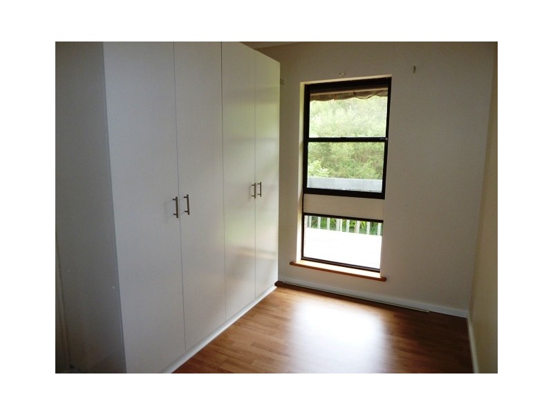 11 Goldney Grove, Hawthorndene SA 5051