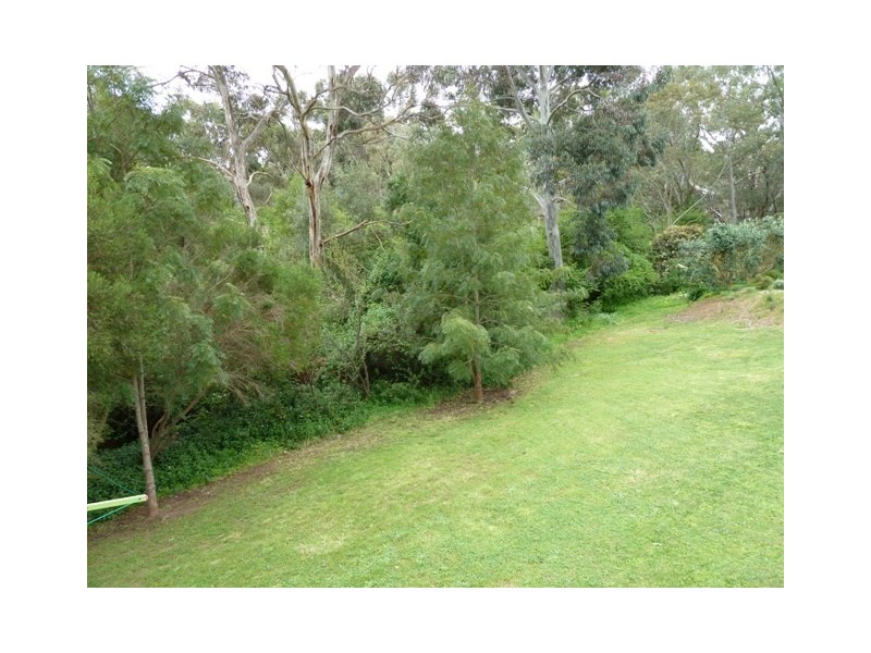 11 Goldney Grove, Hawthorndene SA 5051