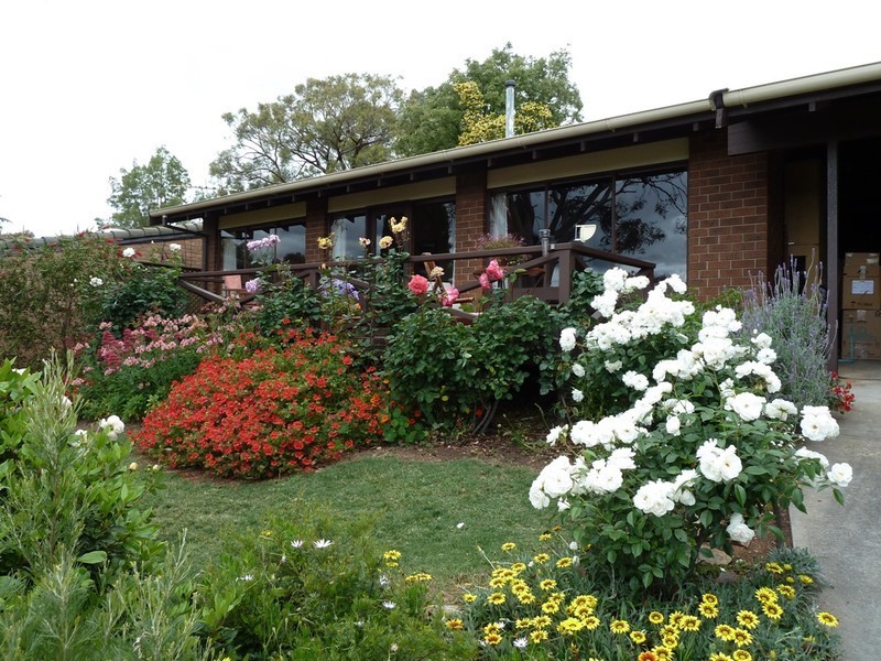 6 Almond Court, Coromandel Valley SA 5051