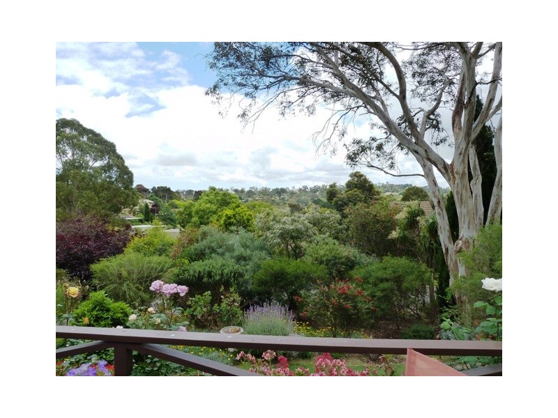 6 Almond Court, Coromandel Valley SA 5051