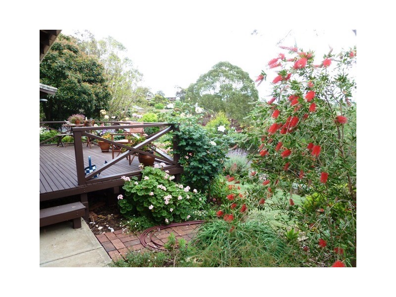 6 Almond Court, Coromandel Valley SA 5051