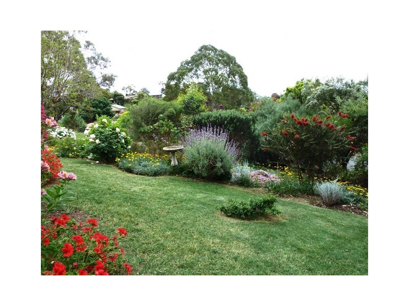 6 Almond Court, Coromandel Valley SA 5051