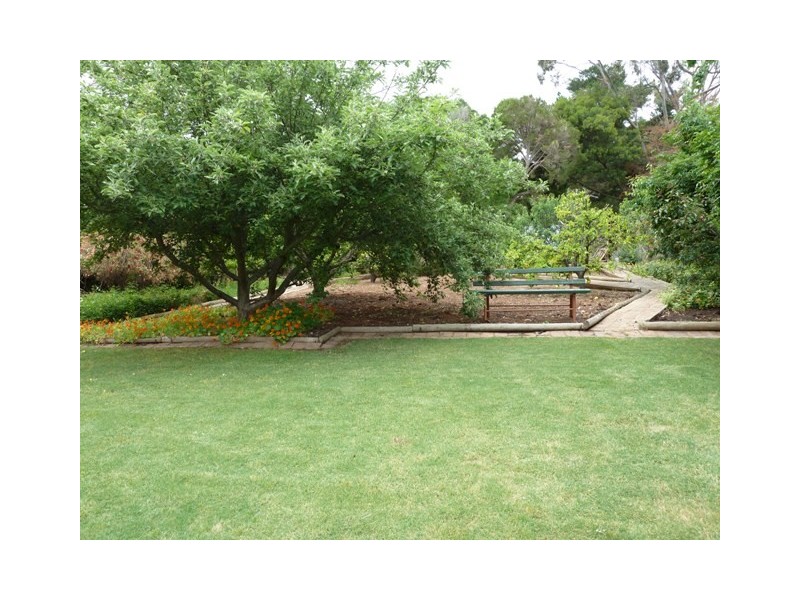 6 Almond Court, Coromandel Valley SA 5051