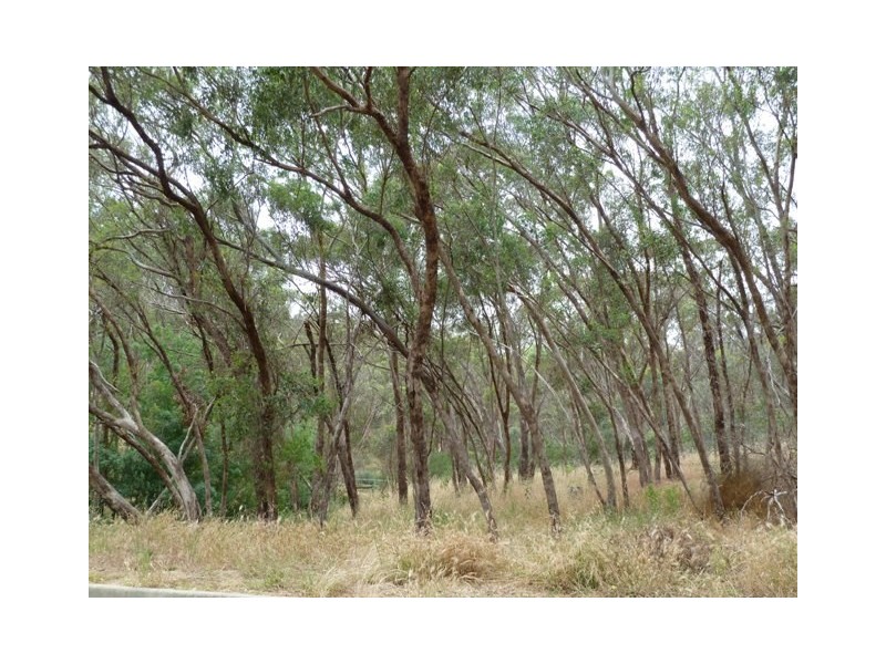 18 Lilford Way, Flagstaff Hill SA 5159