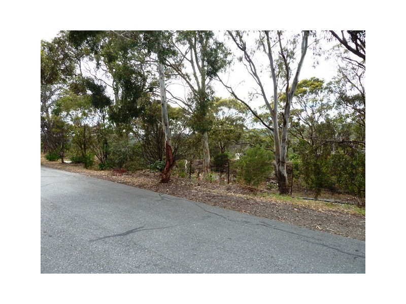 3/3 Railway Tce, Blackwood SA 5051