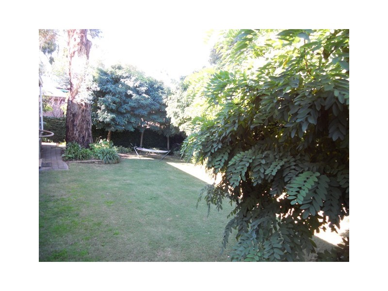 3 Justine Street, Flagstaff Hill SA 5159