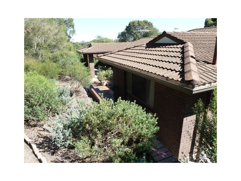 20 Clarence Street, Blackwood SA 5051