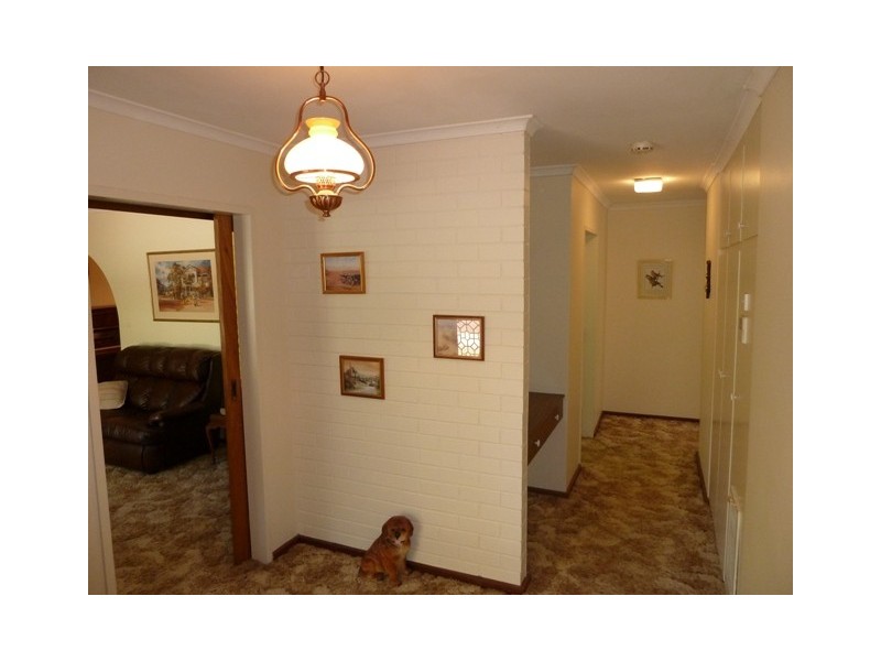 20 Clarence Street, Blackwood SA 5051