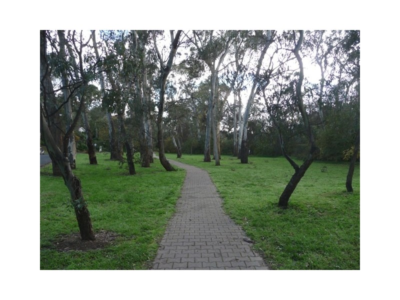 10 Hawthorndene Drive, Hawthorndene SA 5051