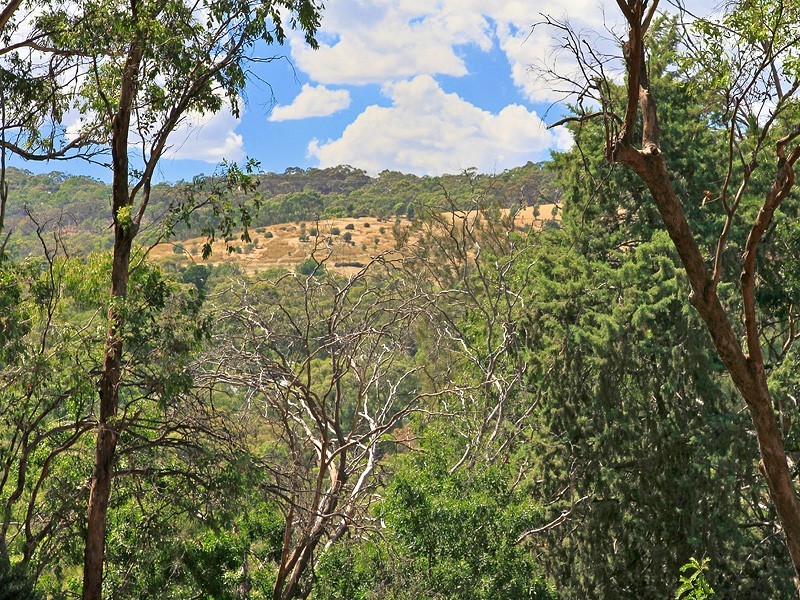 23 Blackthorn Avenue, Hawthorndene SA 5051