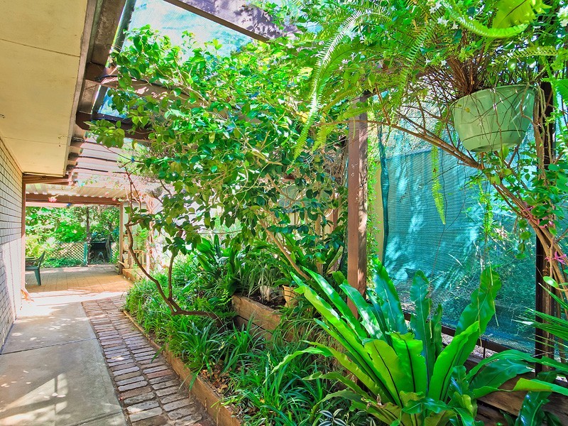 29 Turners Avenue, Hawthorndene SA 5051