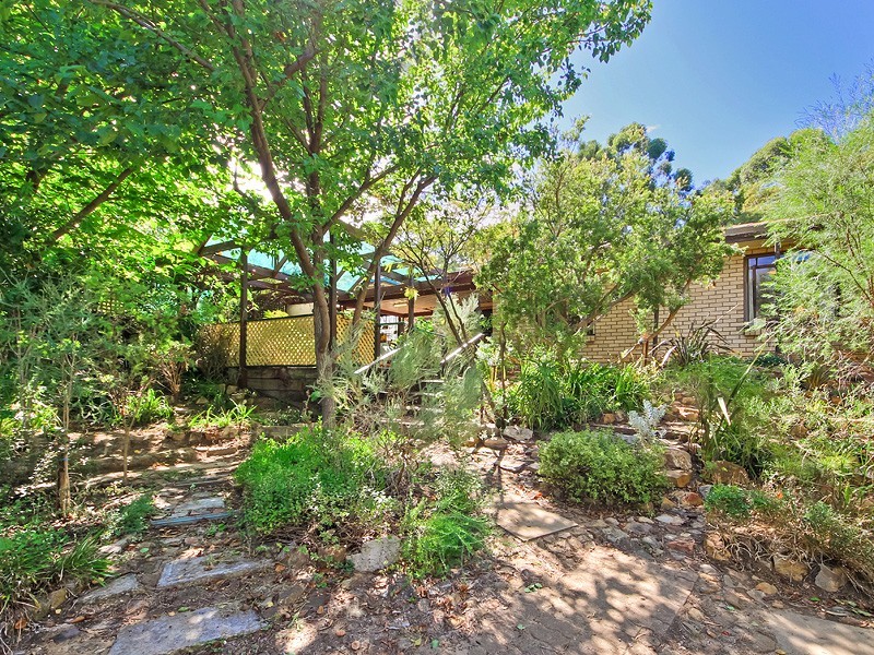 29 Turners Avenue, Hawthorndene SA 5051