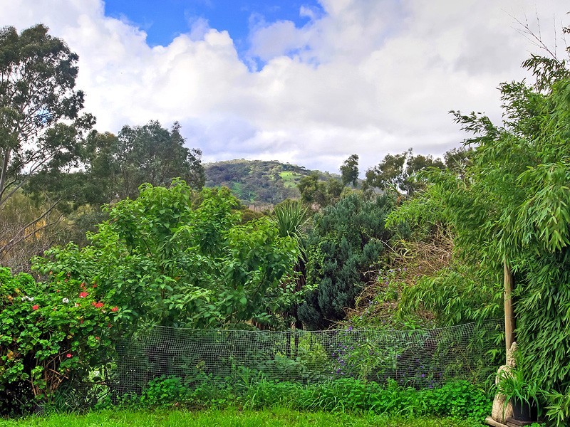 59 Winns Road, Coromandel Valley SA 5051