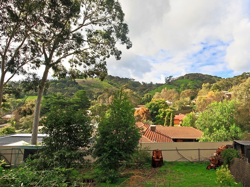 31 Hillsdale Avenue, Coromandel Valley SA 5051