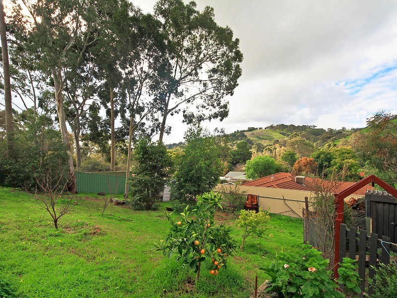 31 Hillsdale Avenue, Coromandel Valley SA 5051