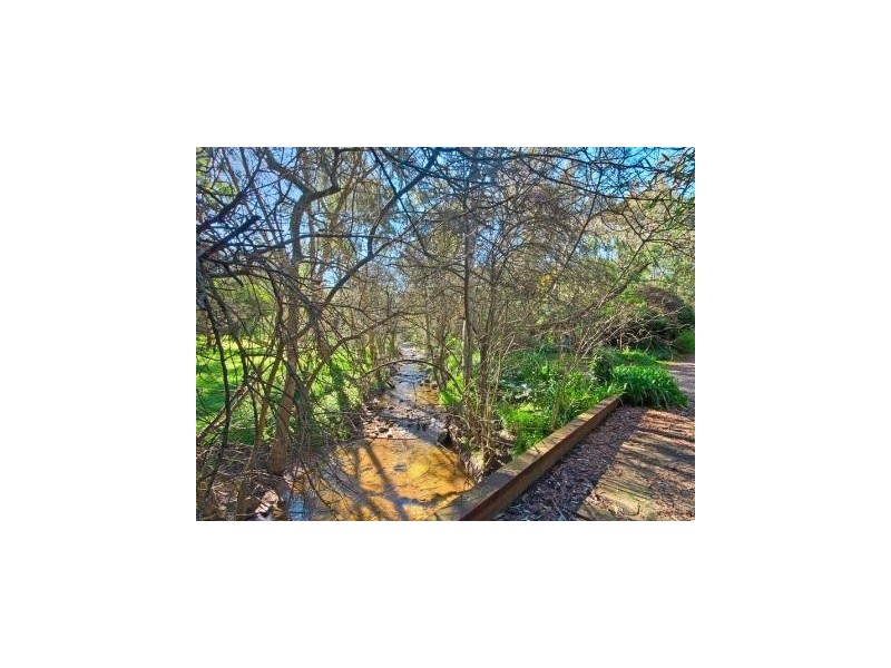 13 Devon Drive, Coromandel Valley SA 5051