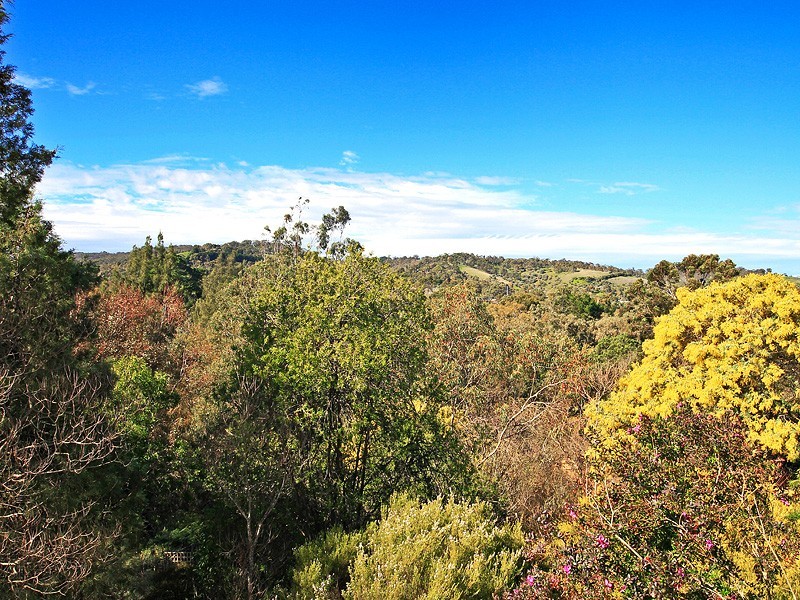 13 Devon Drive, Coromandel Valley SA 5051