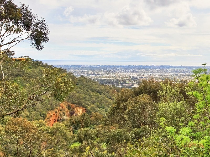 11 Centre Way, Belair SA 5052