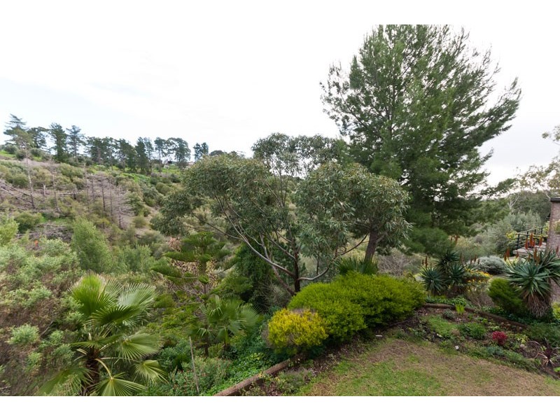 12 Salvador Street, Flagstaff Hill SA 5159