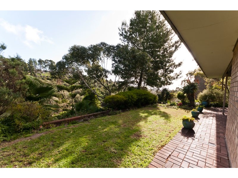 12 Salvador Street, Flagstaff Hill SA 5159