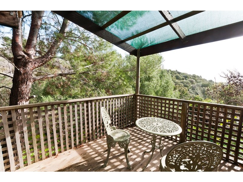 12 Salvador Street, Flagstaff Hill SA 5159