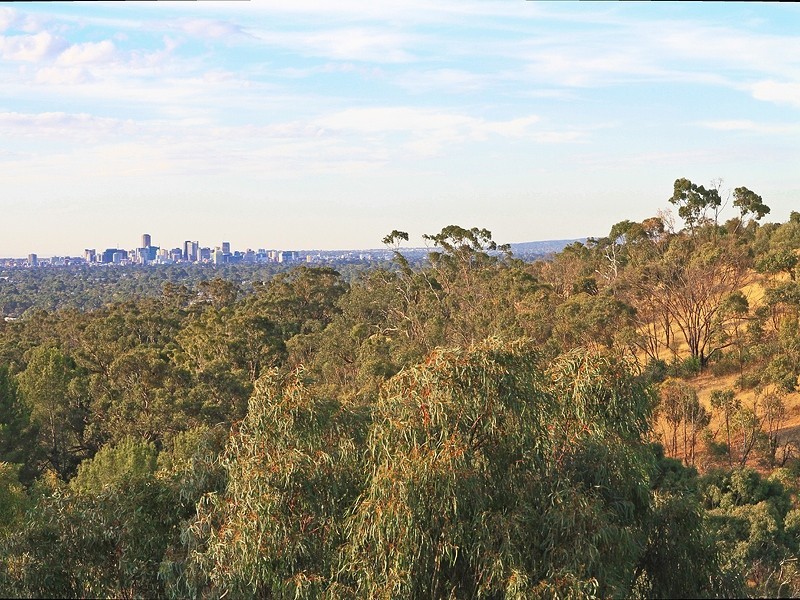 3 Depindo Avenue, Eden Hills SA 5050