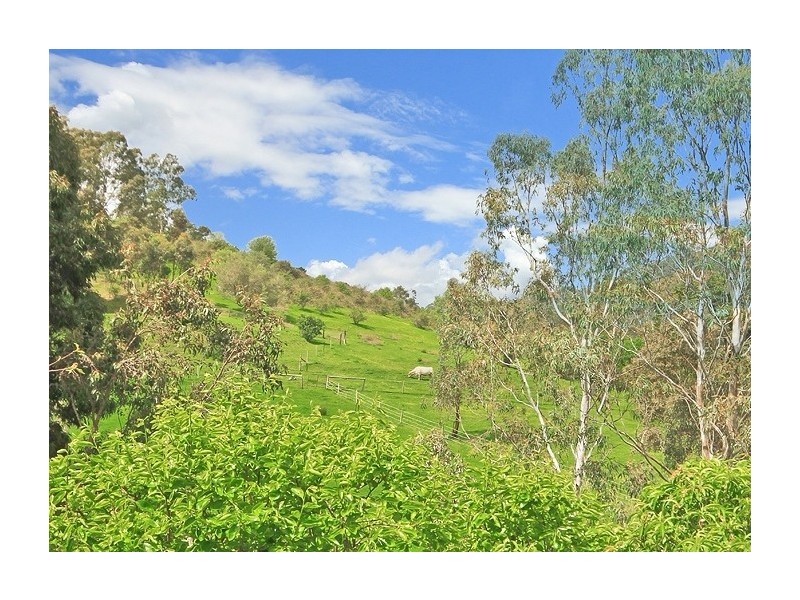 20 Glenberrie Place, Hawthorndene SA 5051