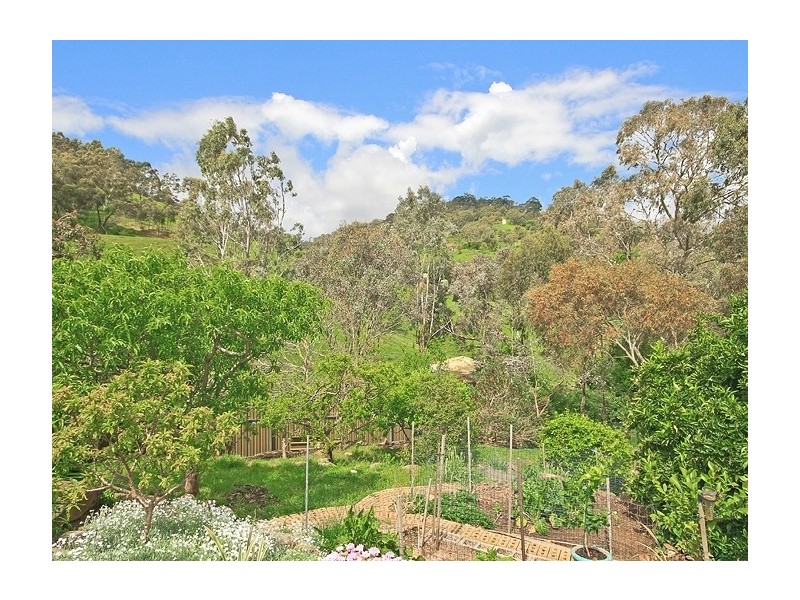 20 Glenberrie Place, Hawthorndene SA 5051