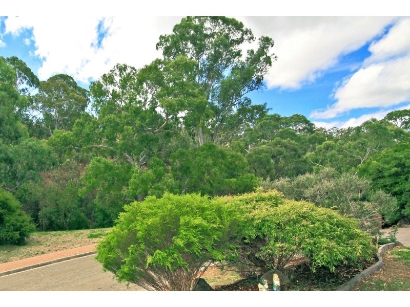3 River Glen Place, Flagstaff Hill SA 5159