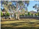 3 Dryandra Drive, Belair SA 5052
