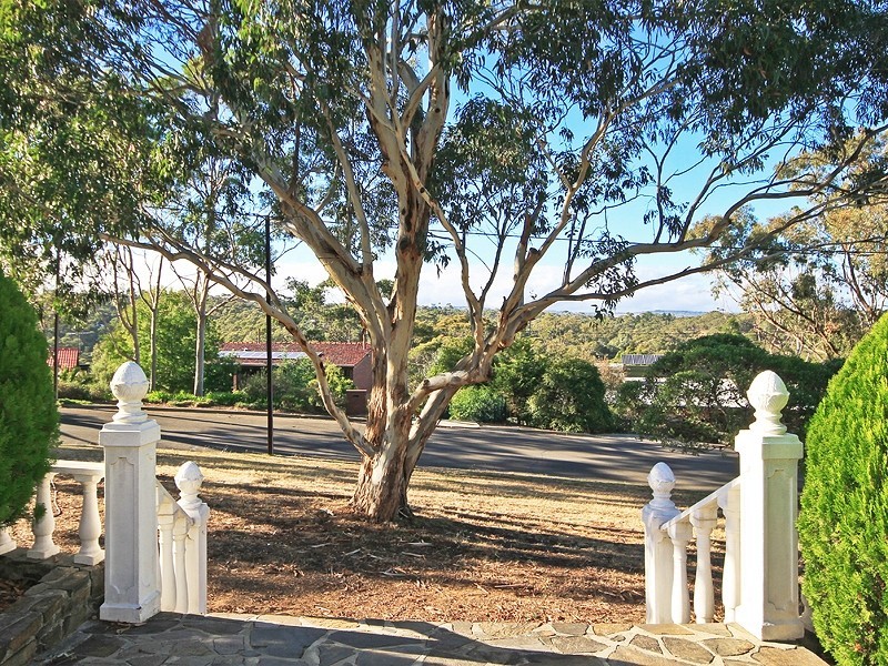 3 Dryandra Drive, Belair SA 5052
