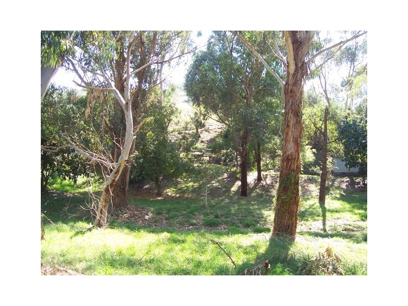 10 Grants Gully Rd, Clarendon SA 5157