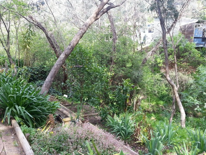 35 Gum Grove, Belair SA 5052