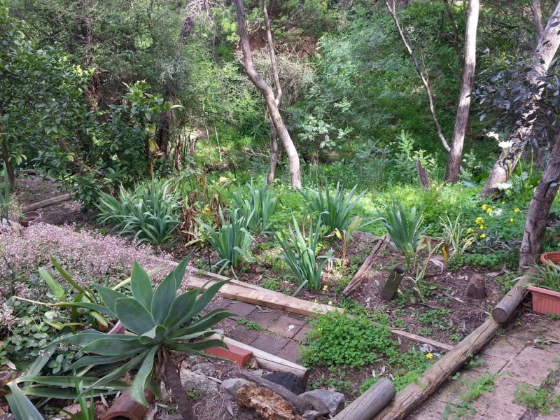 35 Gum Grove, Belair SA 5052