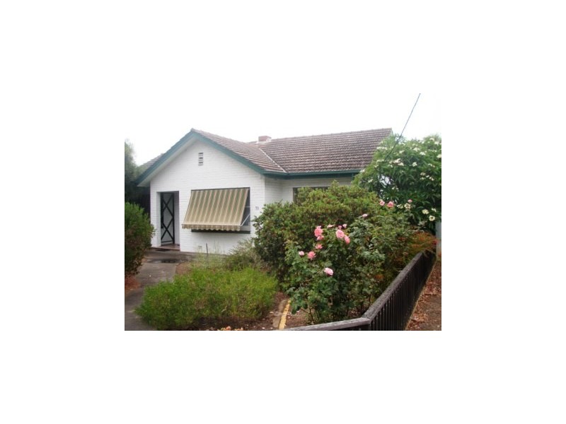 53 Arthur Street, Plympton Park SA 5038